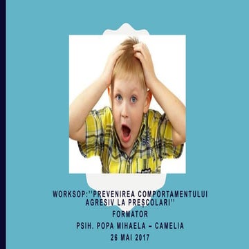 Prevenirea comportamentului agresiv la prescolari si scolari popa mihaela  , 26 mai 2017 workshop (2)