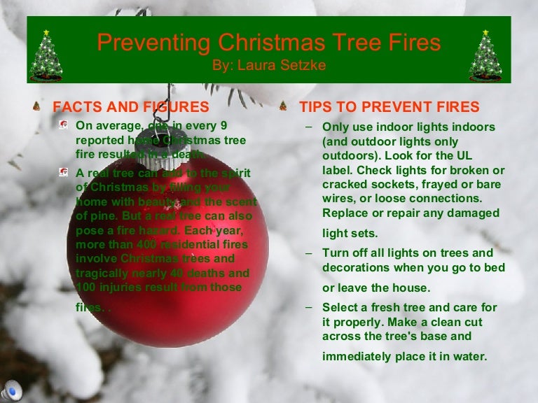 Preventing Christmas Tree Fires