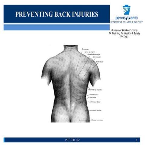 Back Injury hazards precautions safety don't | PPTX