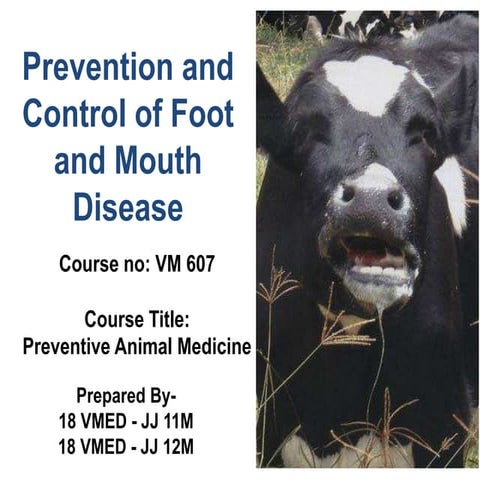 Prevention and control of FMD