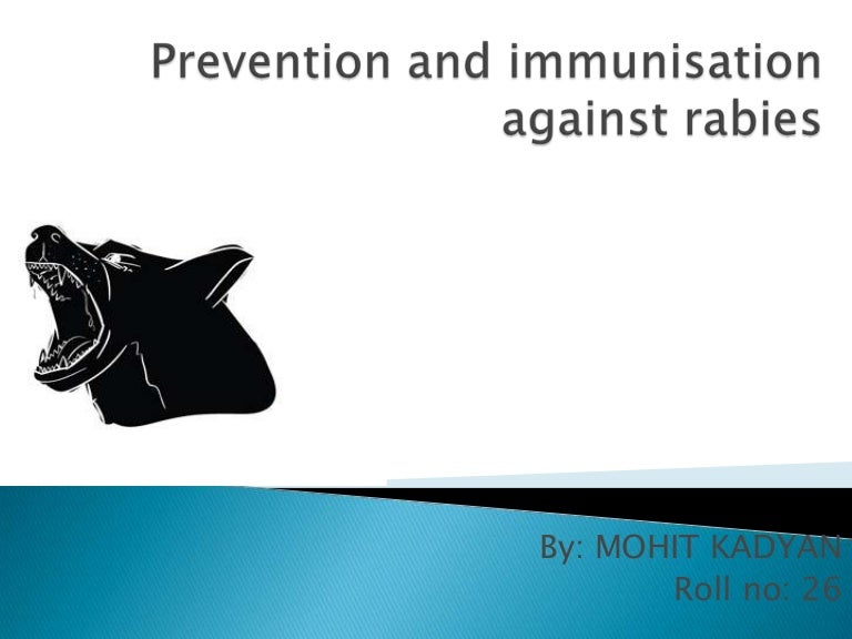 Effective Rabies Control Requires “One Health” Approach – RXFRF