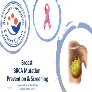 Prevention and screening in brca mutation carriers for breast cancers ...