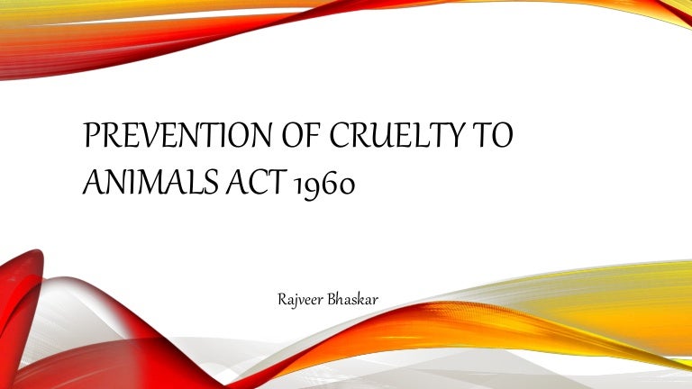 The Prevention Of Cruelty To Animals Act 1960