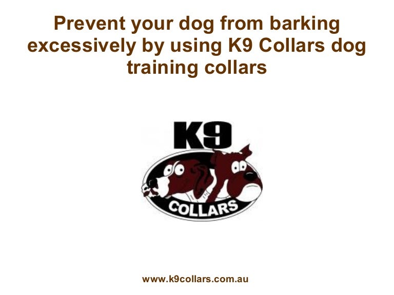 using dog training collars