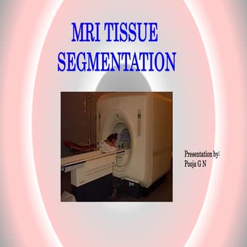 MRI Tissue Segmentation basics