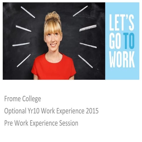 Work Experience Presentation example | PPTX