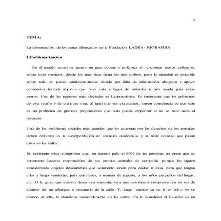 Proyecto Ladra-Riobamba