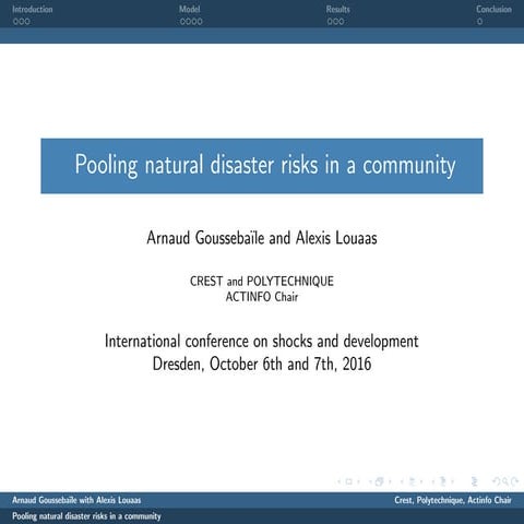 Pooling natural disaster risks in a community