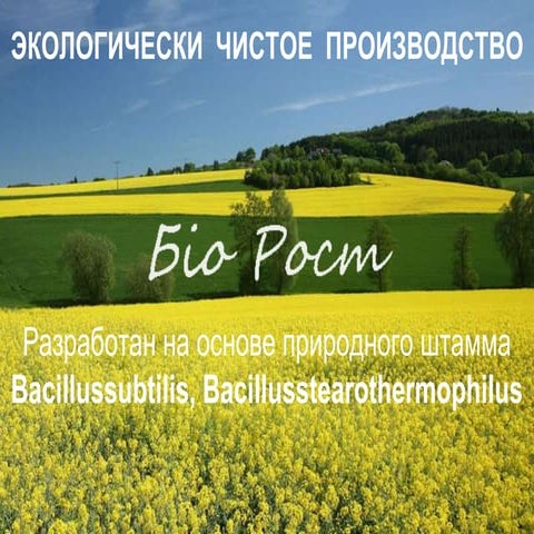 Презентация препарата bio-rost.com
