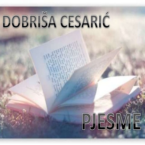 Ozonske rupe | PPSX