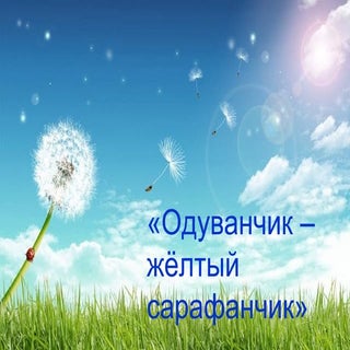 Prezentaciya pro oduvanchiki