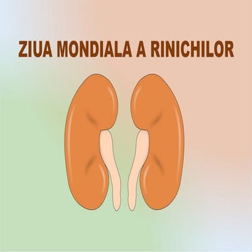 Prezentare despre rolul si functiile RINICHILOR in organismul uman.pptx
