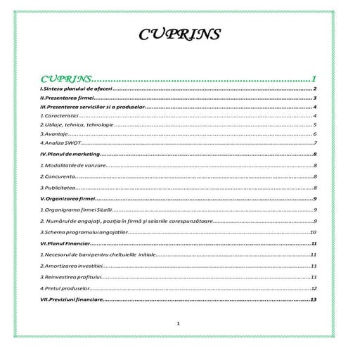 SiLaBi- plan de afaceri