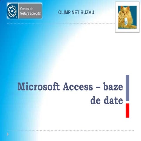 Prezentare Modul Access