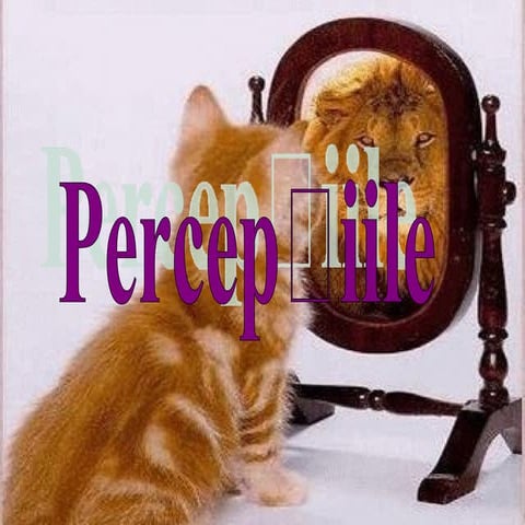 Perceptiile