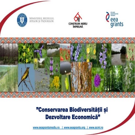 CBDE - Activitatea 5 - Prezentare plan de afaceri