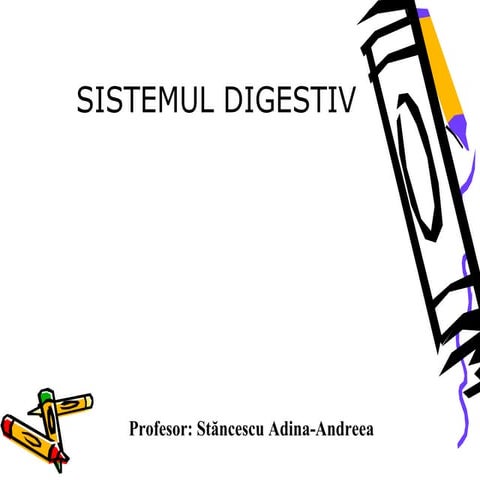 Sistemul digestiv - Prezentare ppt