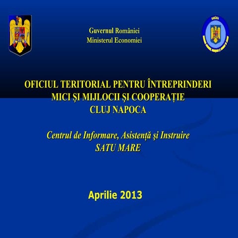 Prezentare programe 2013 bm