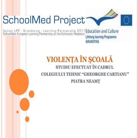 Prezentare studiu violenta