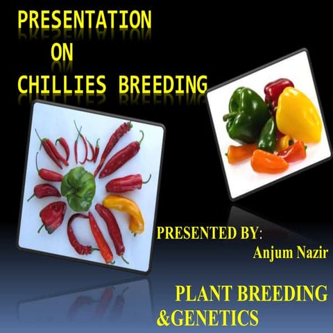 Prezentationonchilliebreeding 131126062445-phpapp01 (1)