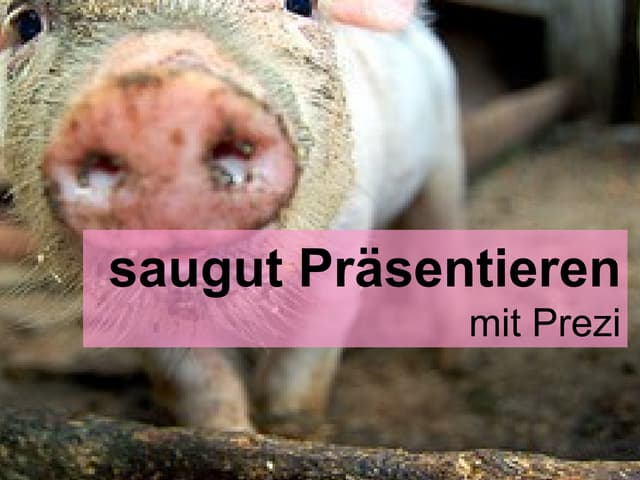 Saugut präsentieren mit Prezi