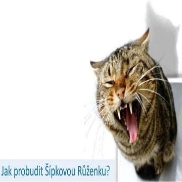 Marketing a Podyjí, aneb Jak probudit Šípkovou Růženku