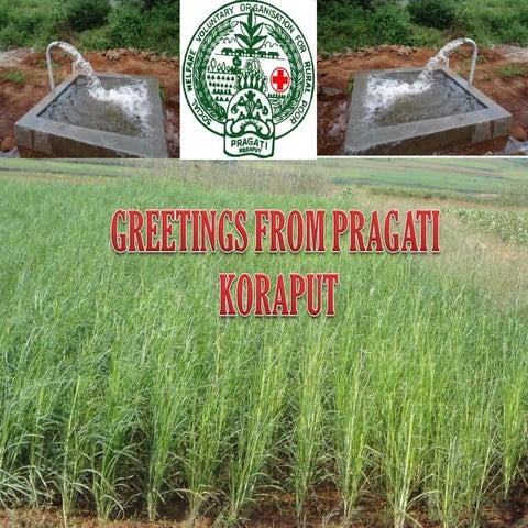 Prgati koraput 25th march 2014