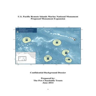 Pew Charitable Trusts Background Do...