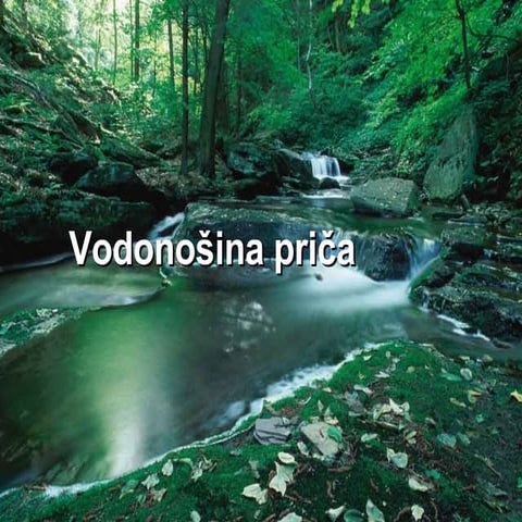 Strepnja Desanka Maksimović | PPS