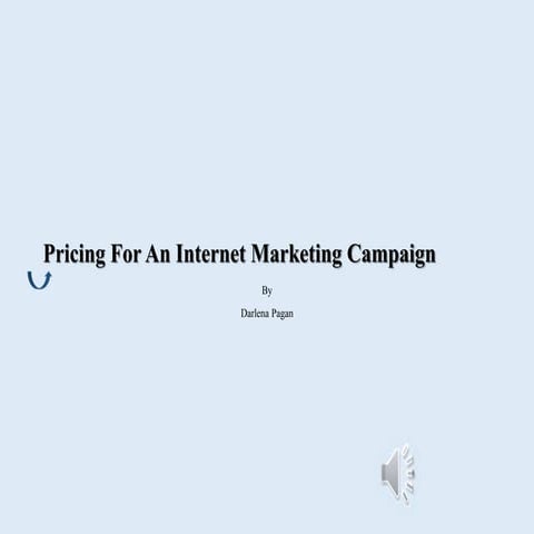 Pricing for an internet marketing campaign