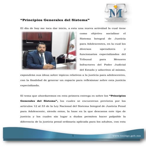 Principios rectores del nuevo sistema de justicia para adolescentes.pdf