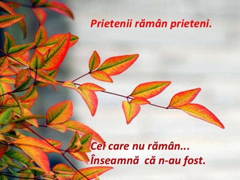 Intalnire musulmana gratuita
