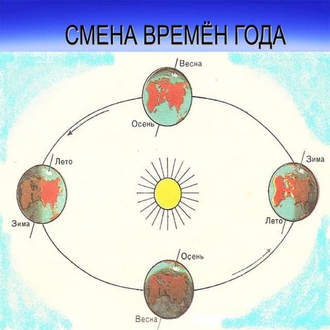 Презентация по окр. миру | PPT