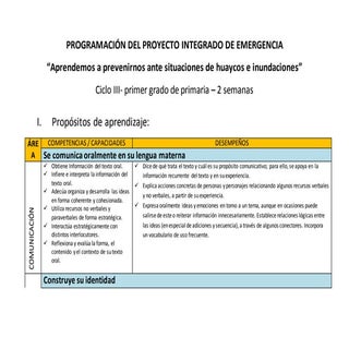 PROGRAMACIÓN DE PROYECTO INTEGRADO ...