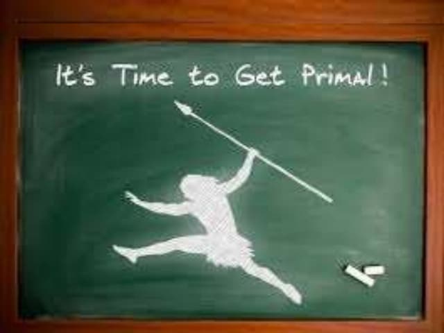 Paleo / Primal Lifestyle 101