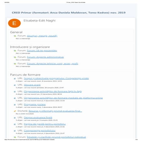 Raport de  activitate -Primar 2165  