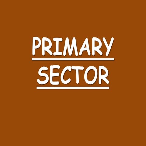 Primary sector
