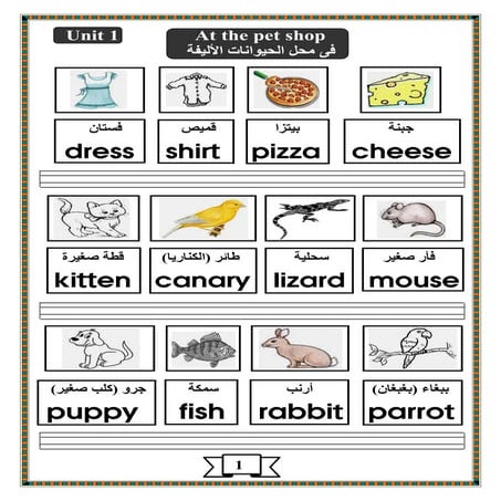 Primary 4  term 1  2015