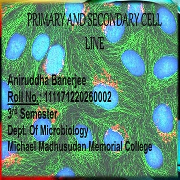 Primary and Secondary Cell Line