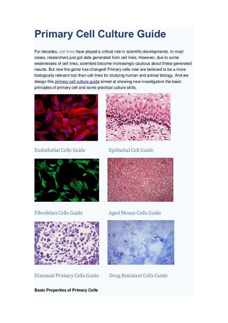 Primary cell culture guide