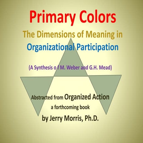 Primary Colors: The Dimensions of Meaning in Organizational Participation