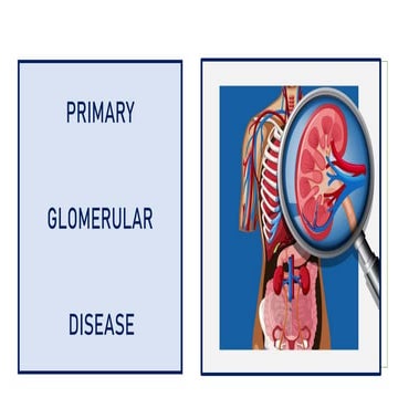 PRIMARY GLOMERULOPATHIES BY DR NANNIKA PRADHAN