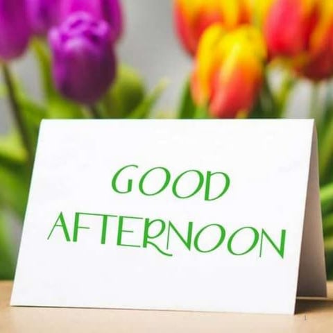 Primary health care in India