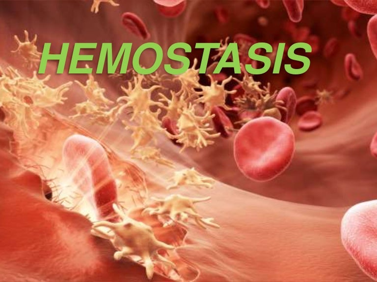 Primary hemostasis