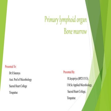 Primary Lymphoid Organ Pptx