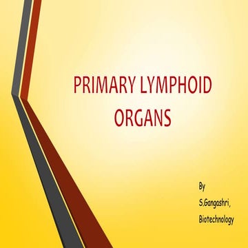 Primary lymphoid organs