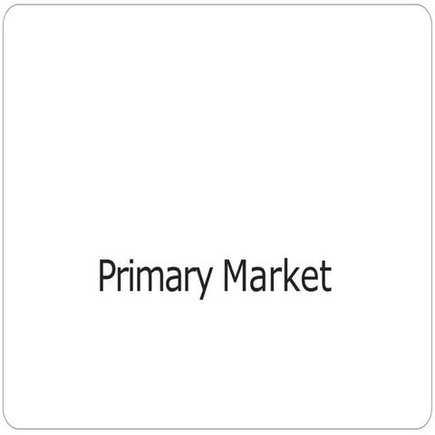 primary market.pptx