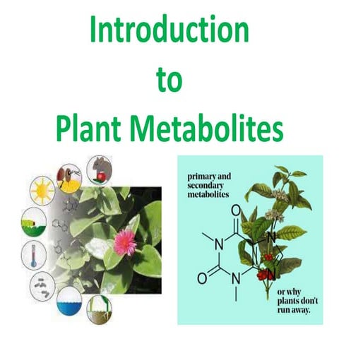 Primary Metabolites FROM THE PLANT AND ANIMALS.pptx