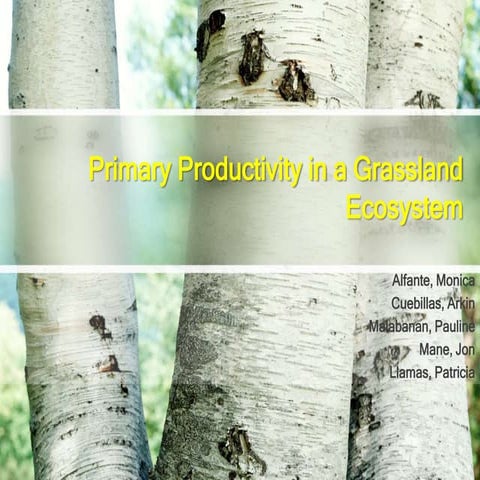 Primary productivity in a grassland ecosystem
