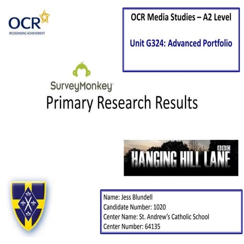 Primary research results